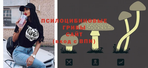 СК Навашино