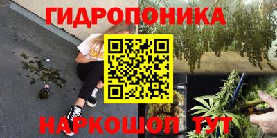 сатива Волжск