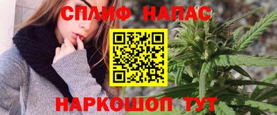 стаф Донецк