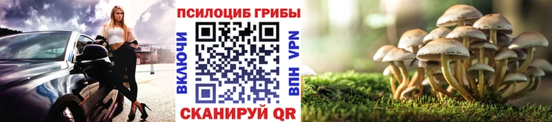 МЕГА   Йошкар-Ола  Галлюциногенные грибы ЛСД 