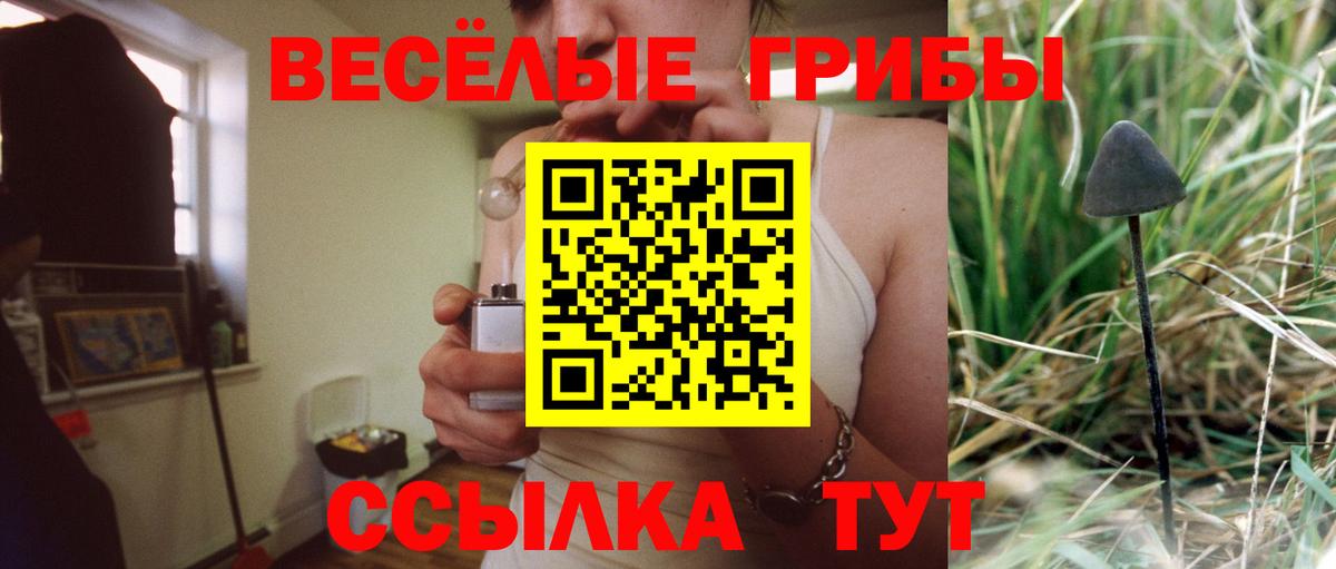 даркнет сайт  Галлюциногенные грибы GOLDEN TEACHER  Вход с VPN  Йошкар-Ола 