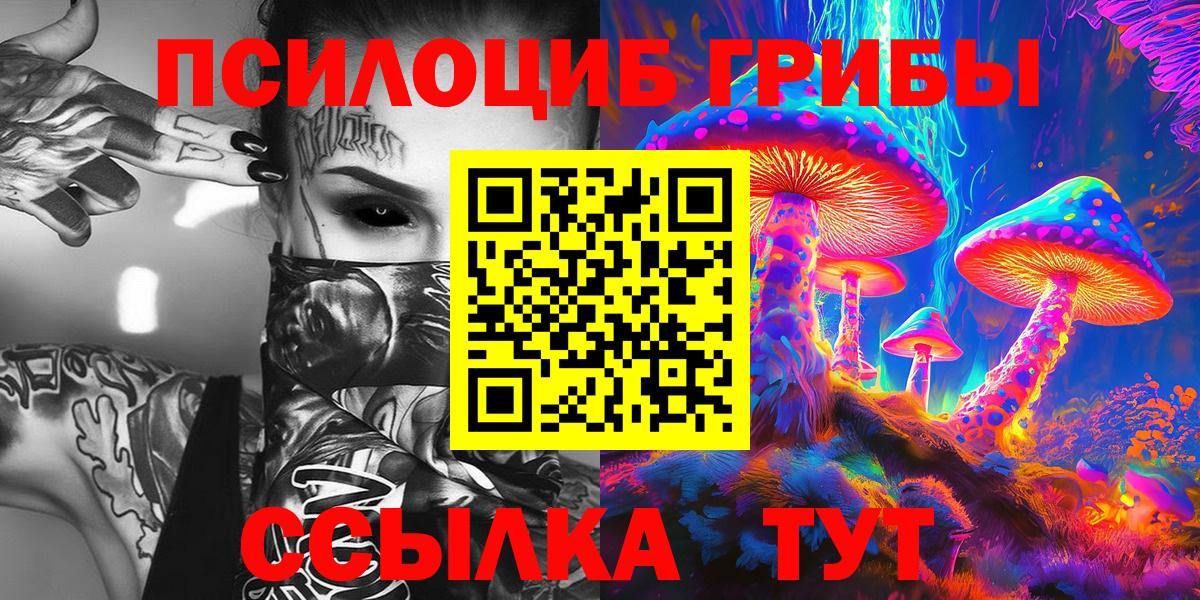 Псилоцибиновые грибы Cubensis Йошкар-Ола